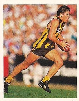 1993 Select AFL Stickers #143 Darren Jarman Front